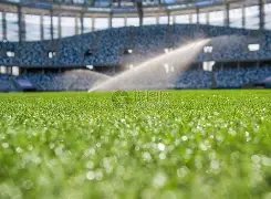 傅园慧蛙泳,教学首堂课,开讲,2026世界杯官网,世界杯2026,2026世界杯赛程,世界杯门票,2026年世界杯,世界杯新闻,2026世界杯官方
